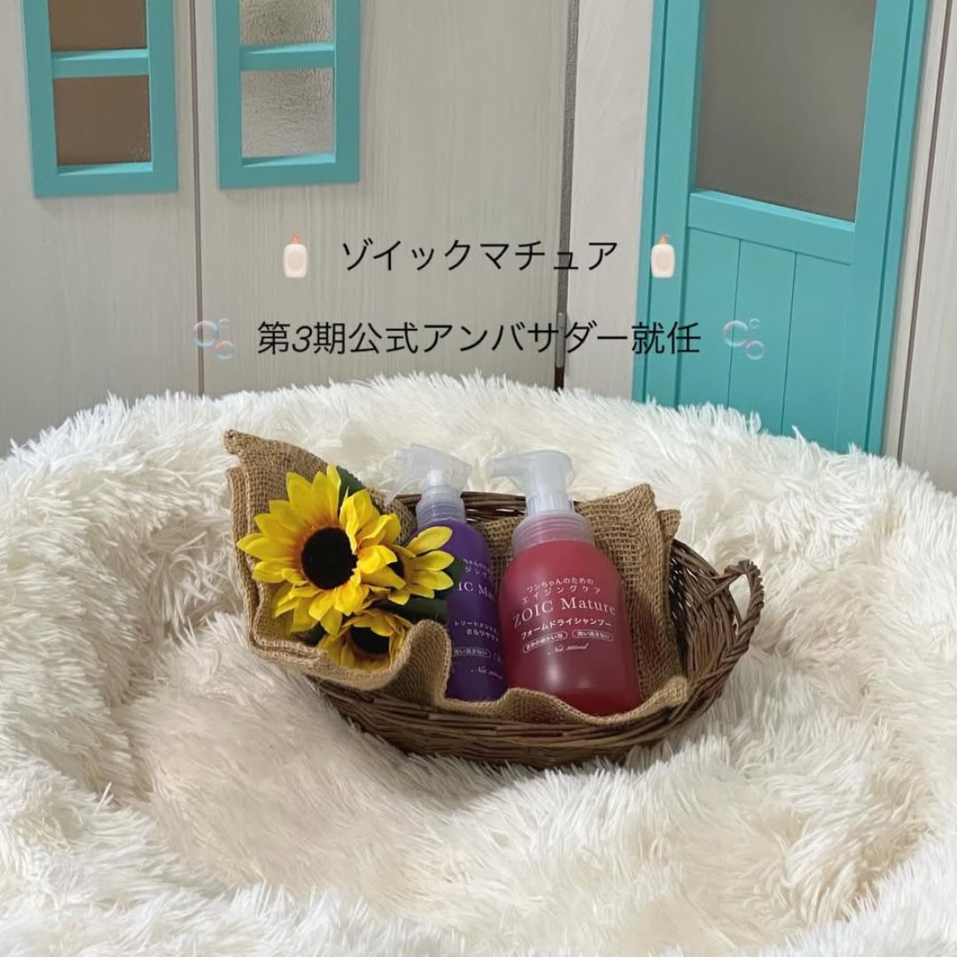 ゾイック マチュア アンバサダー ボイス