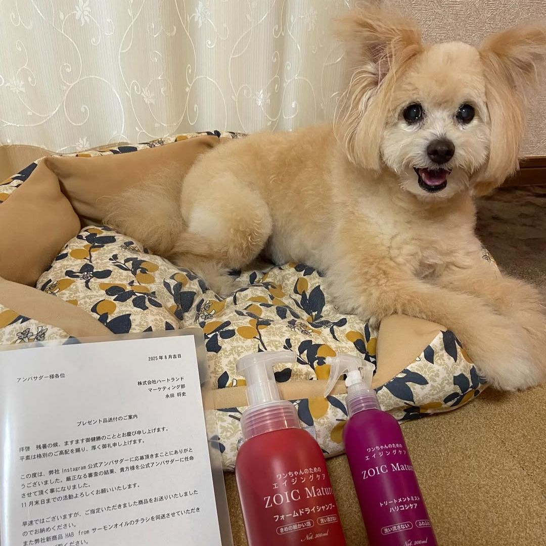 ゾイック マチュア アンバサダー ボイス