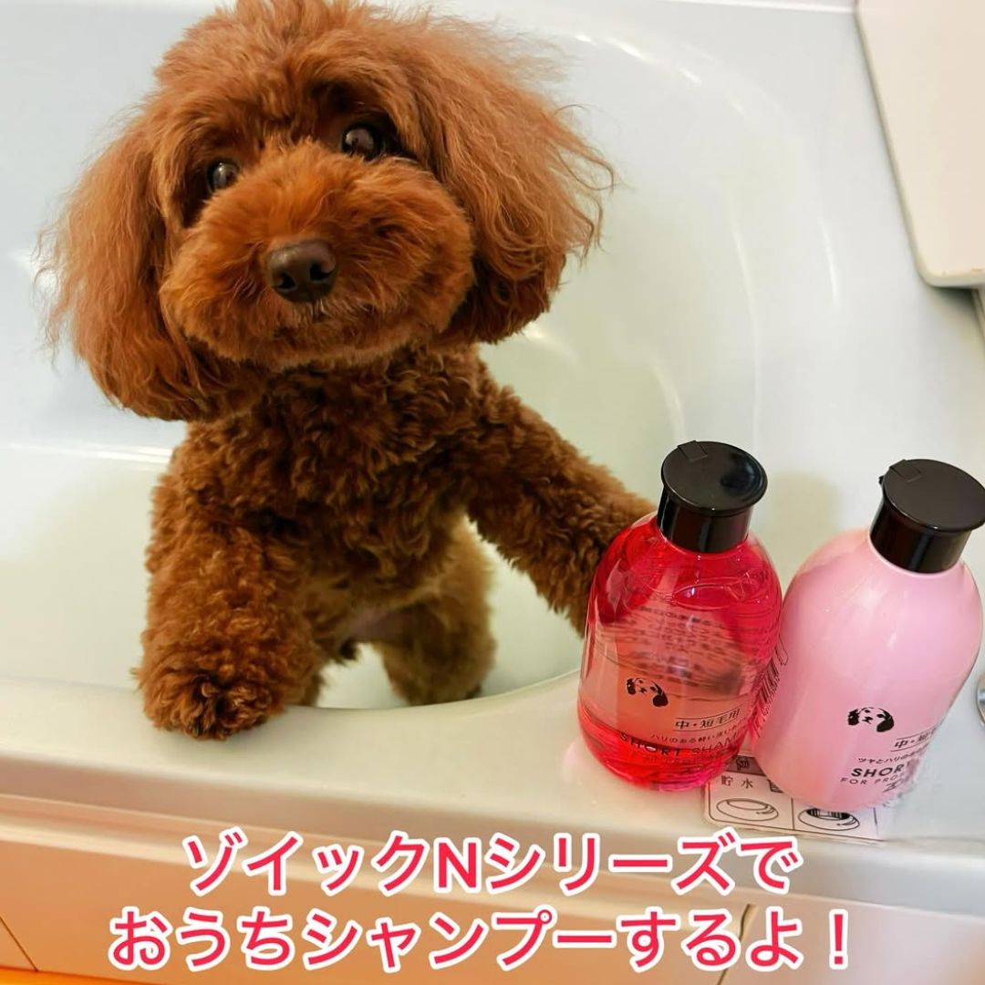 ゾイック N アンバサダー ボイス