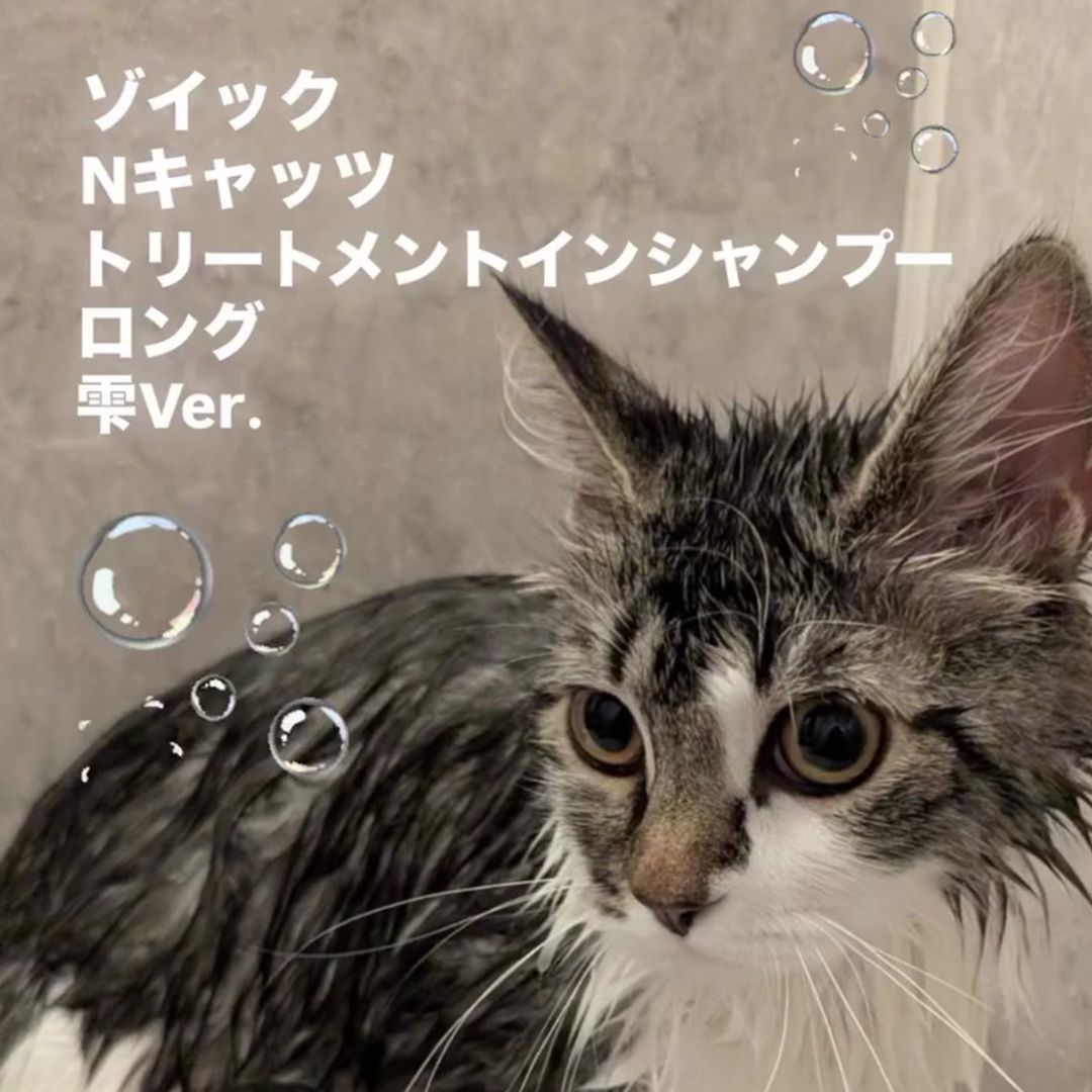 キャッツ アンバサダー ボイス