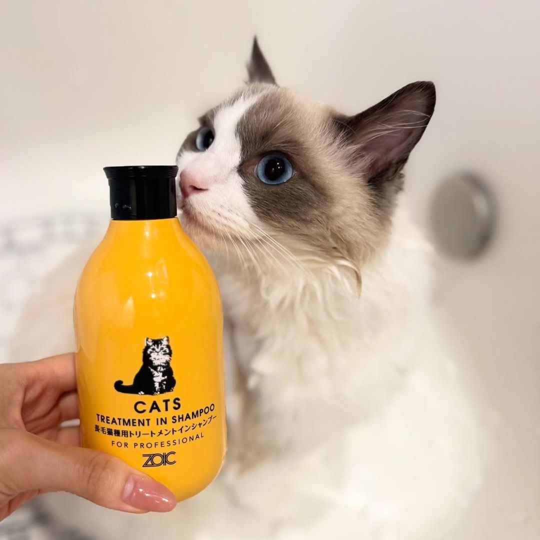 キャッツ アンバサダー ボイス