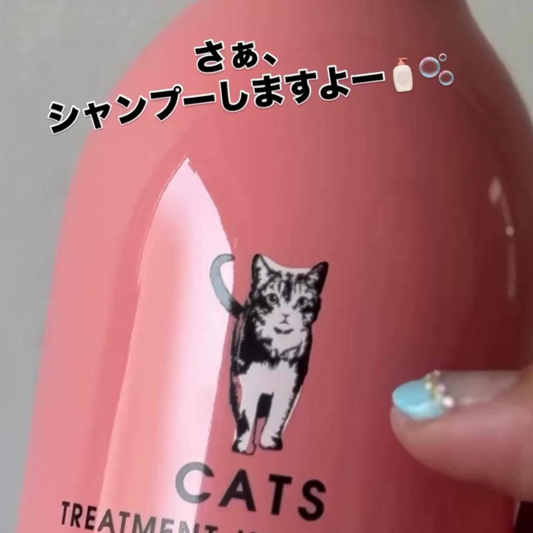 キャッツ アンバサダー ボイス