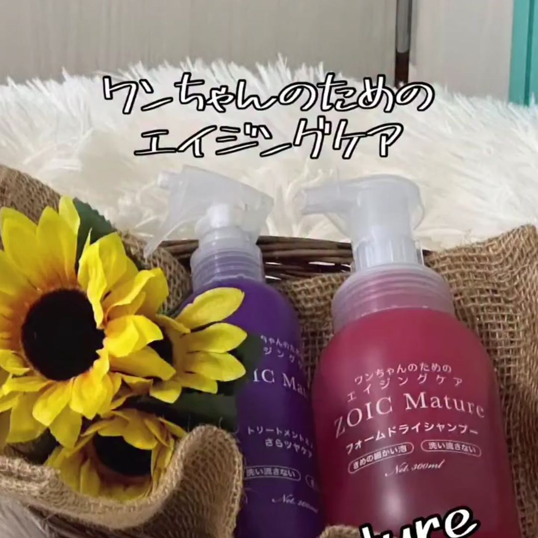 ゾイック マチュア アンバサダー ボイス