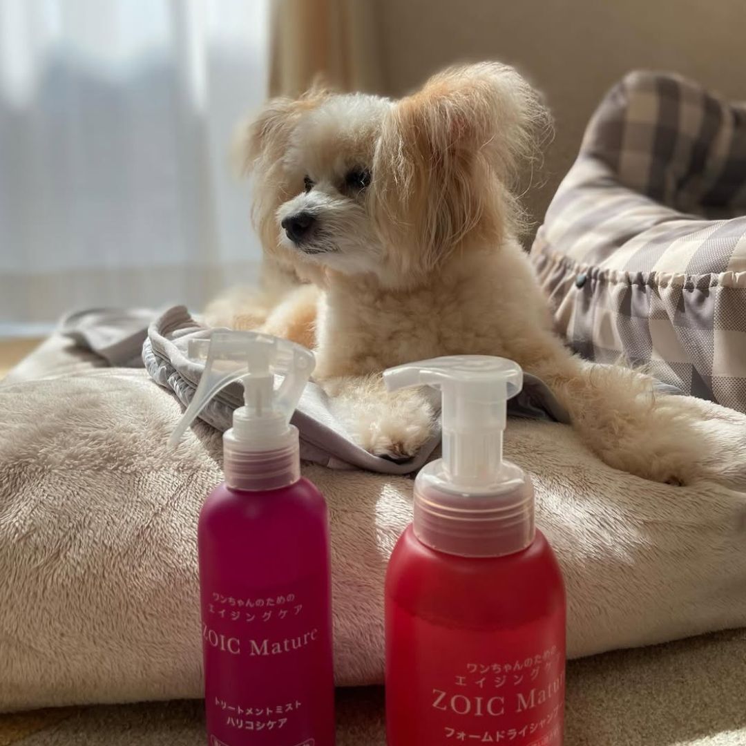 ゾイック マチュア アンバサダー ボイス