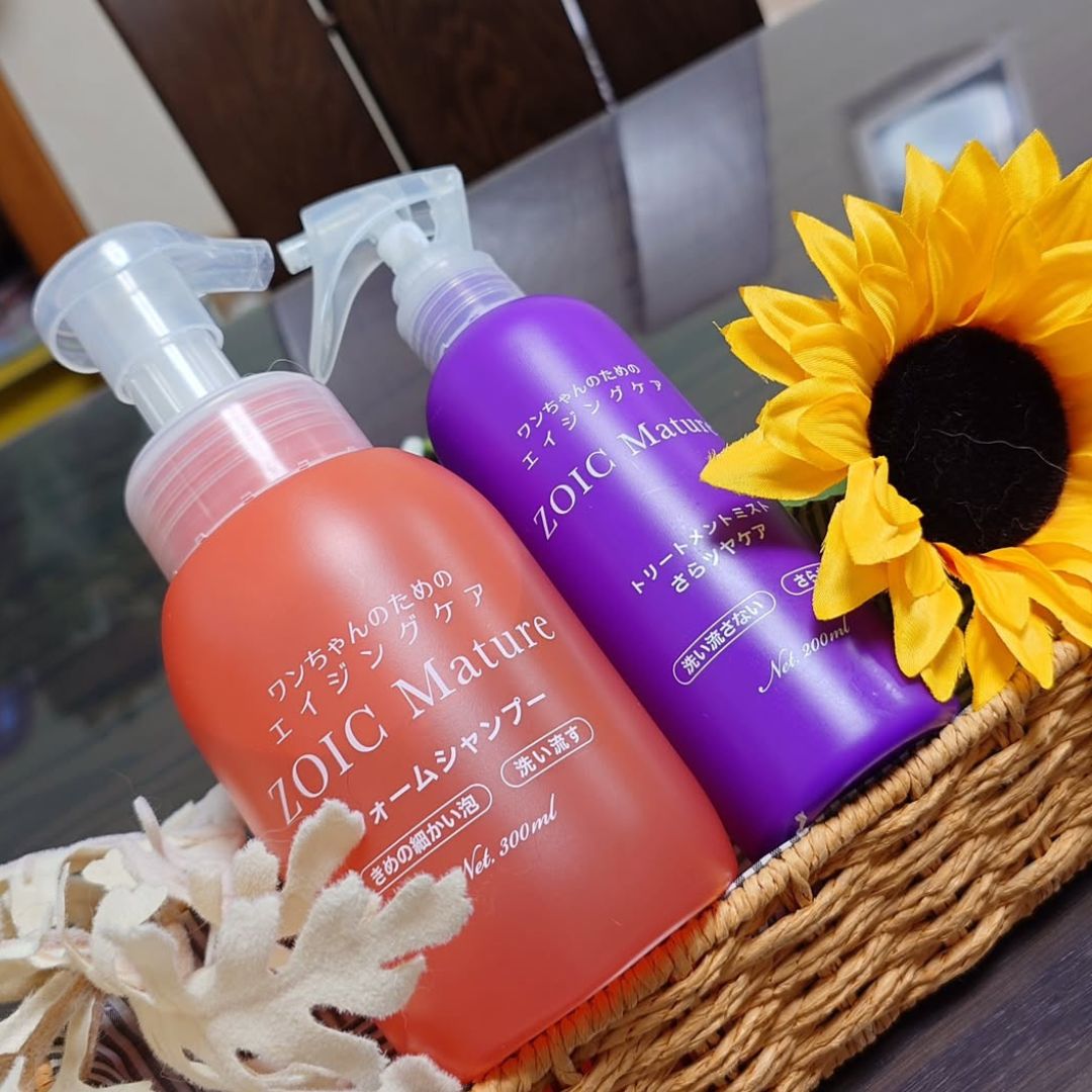 ゾイック マチュア アンバサダー ボイス