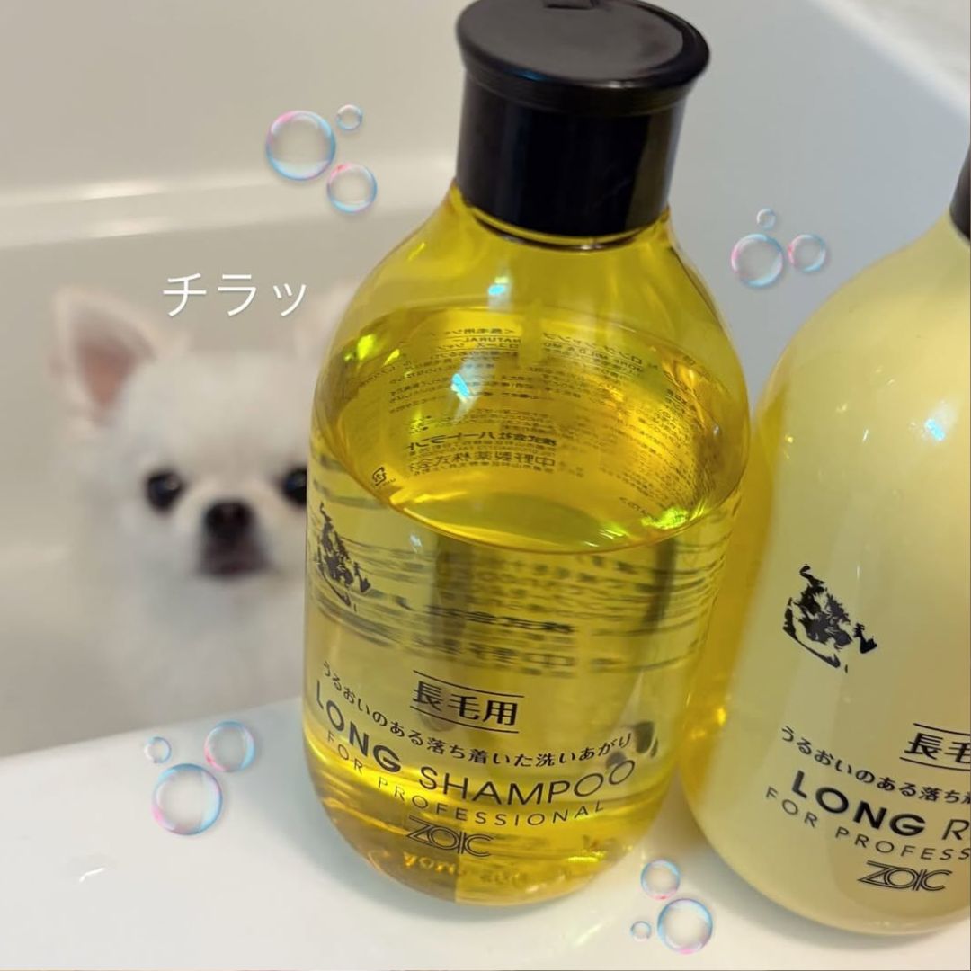 ゾイック N アンバサダー ボイス