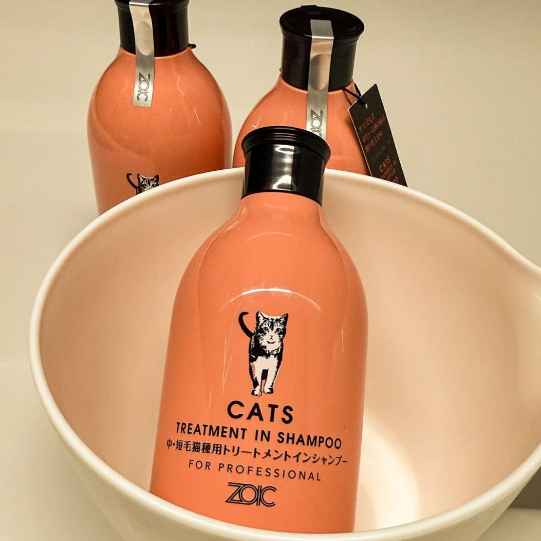 キャッツ アンバサダー ボイス