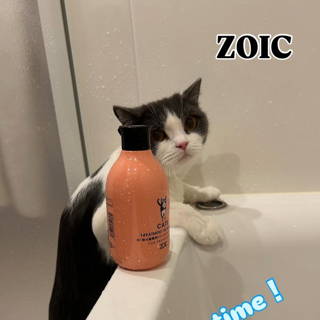 キャッツ アンバサダー ボイス