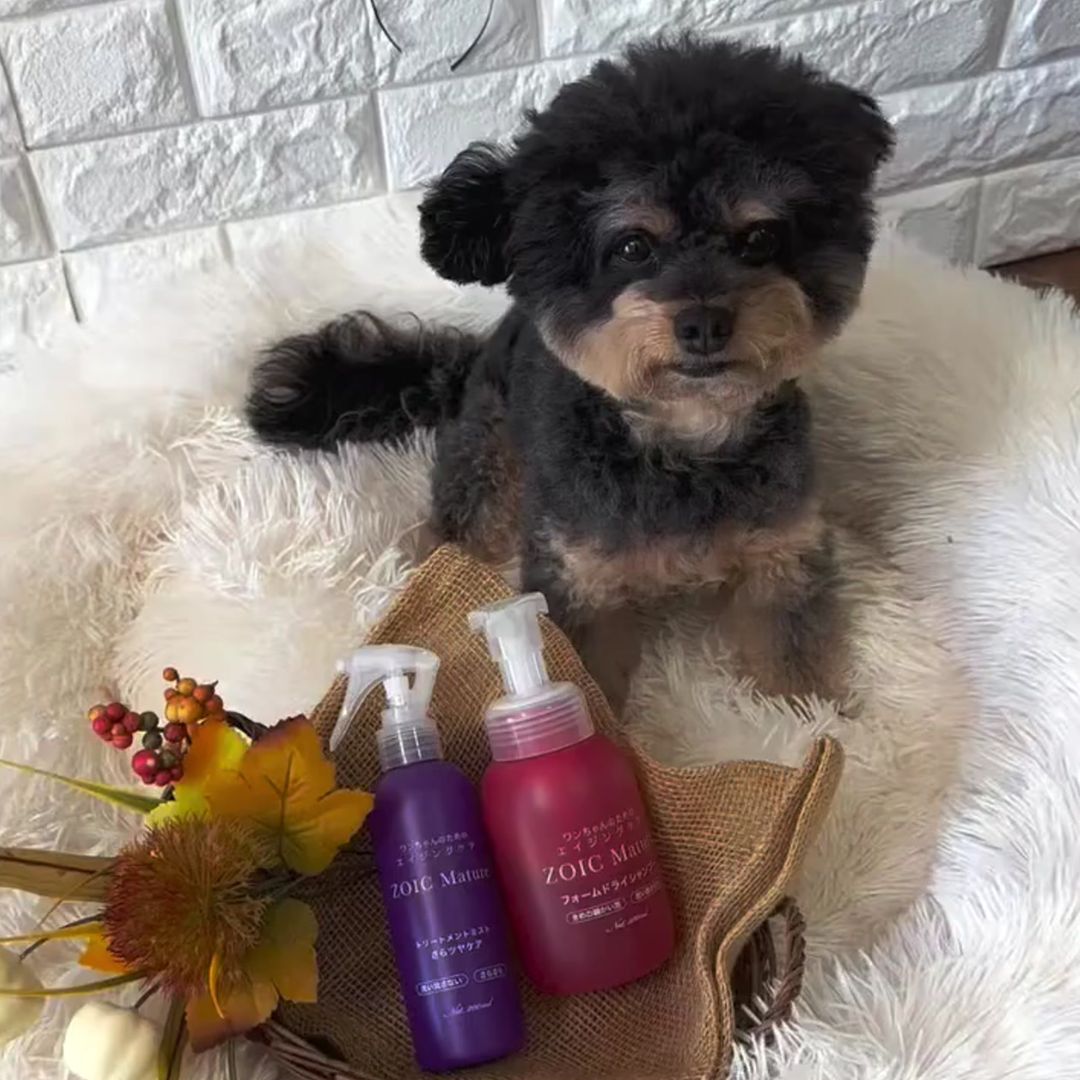 ゾイック マチュア アンバサダー ボイス