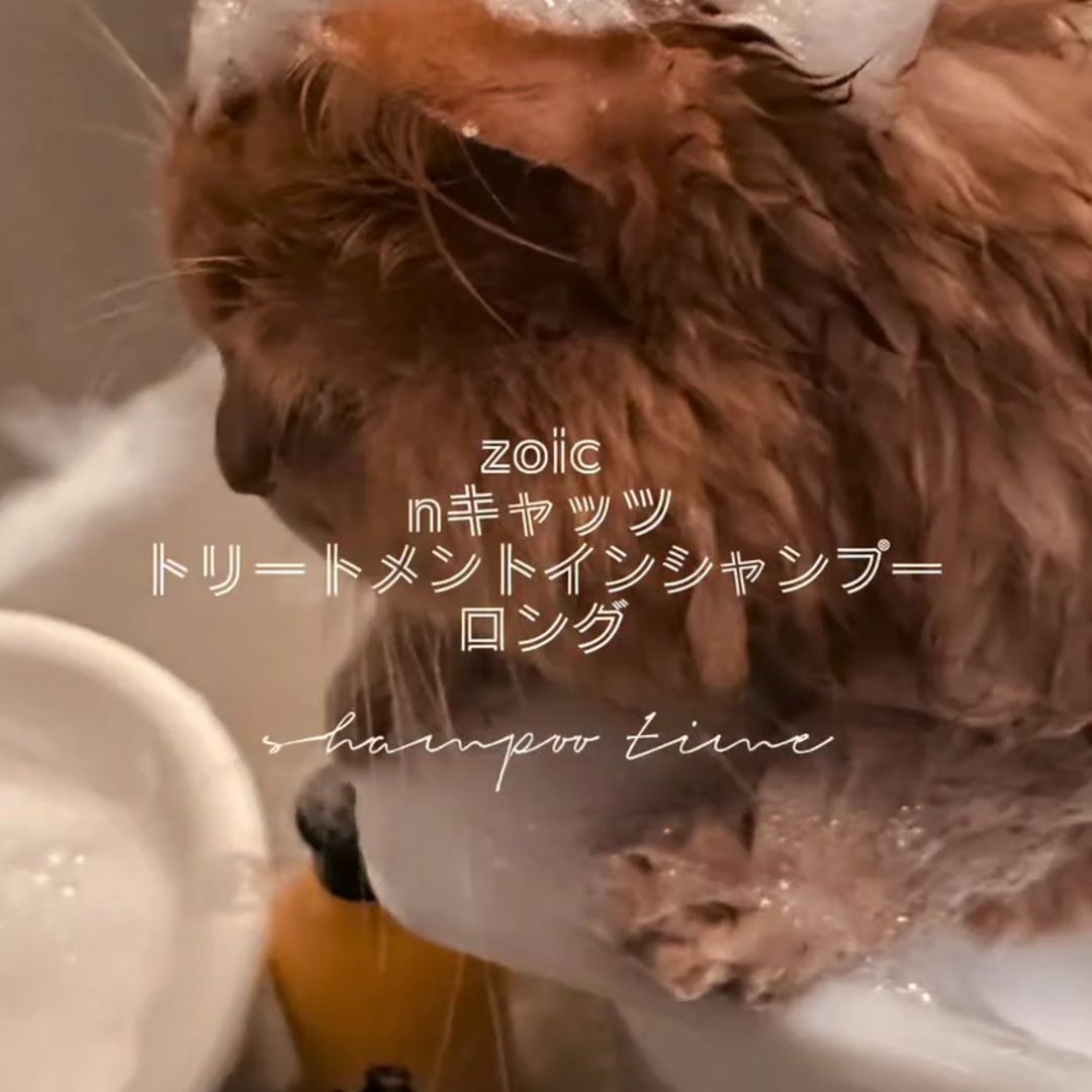 キャッツ アンバサダー ボイス