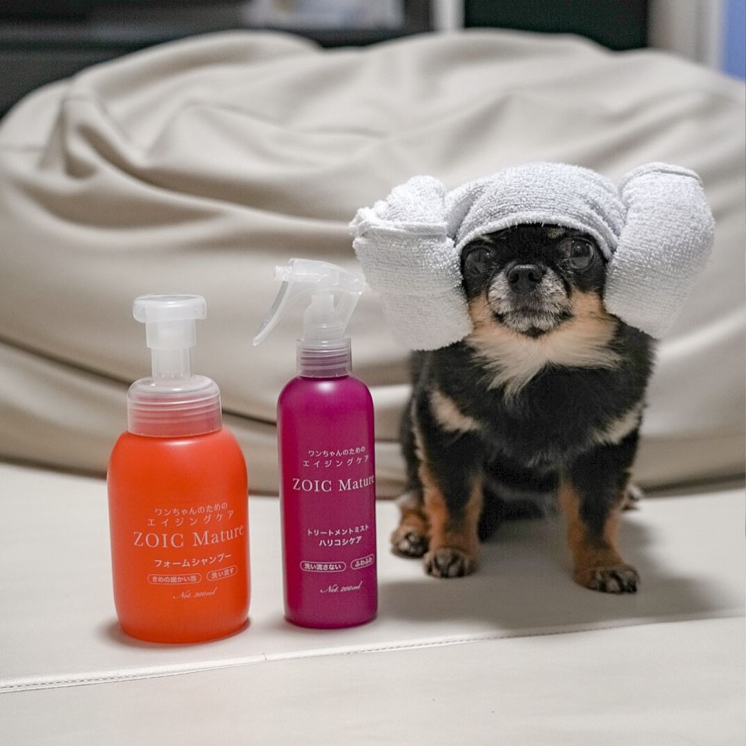 ゾイック マチュア アンバサダー ボイス