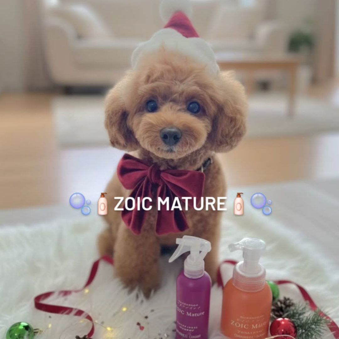 ゾイック マチュア アンバサダー ボイス