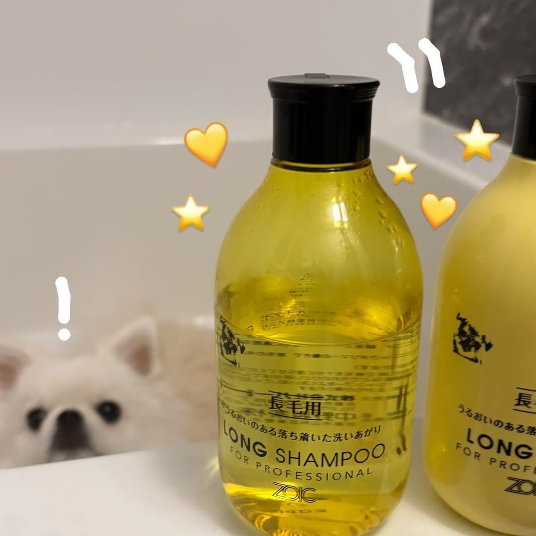 ゾイック N アンバサダー ボイス