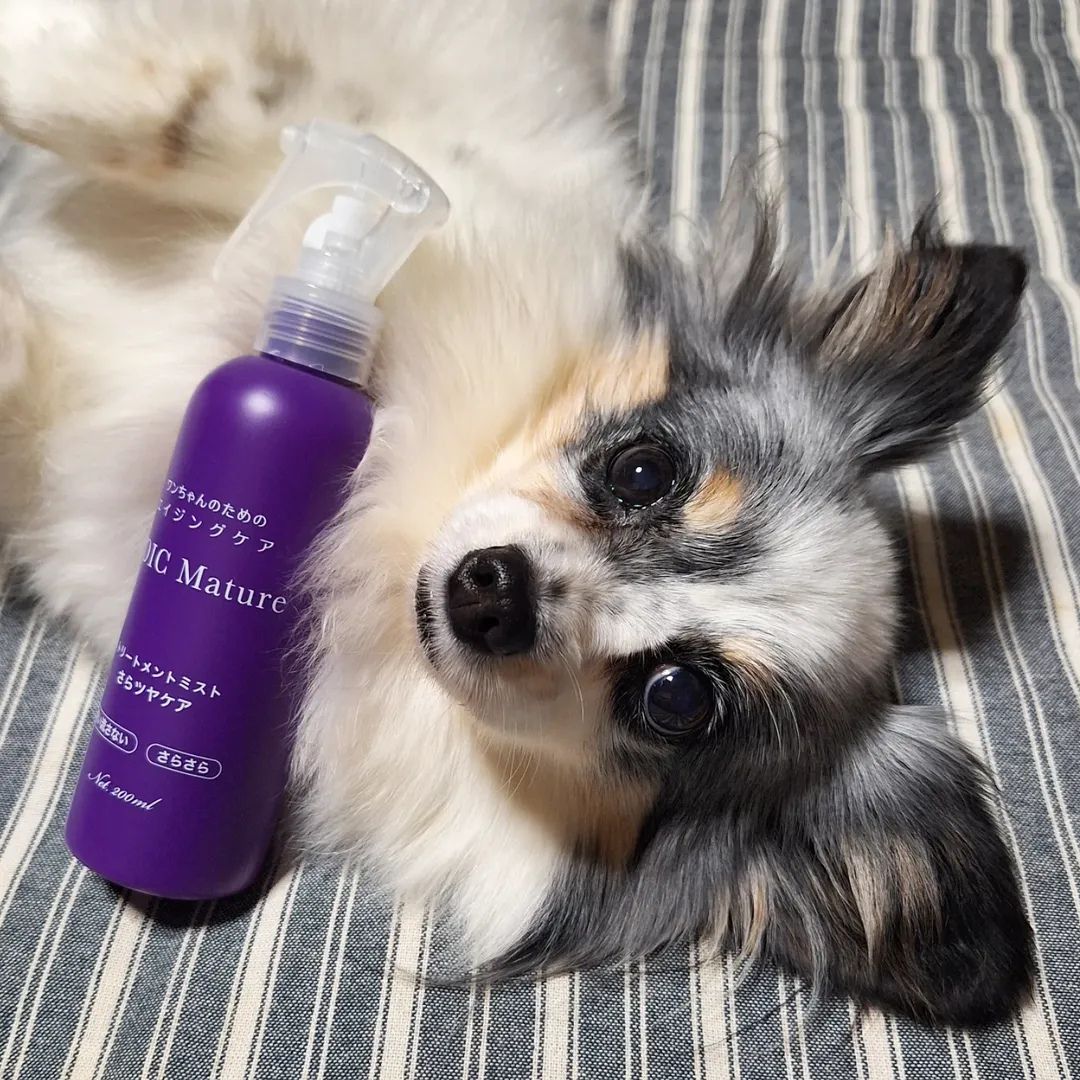 ゾイック マチュア アンバサダー ボイス