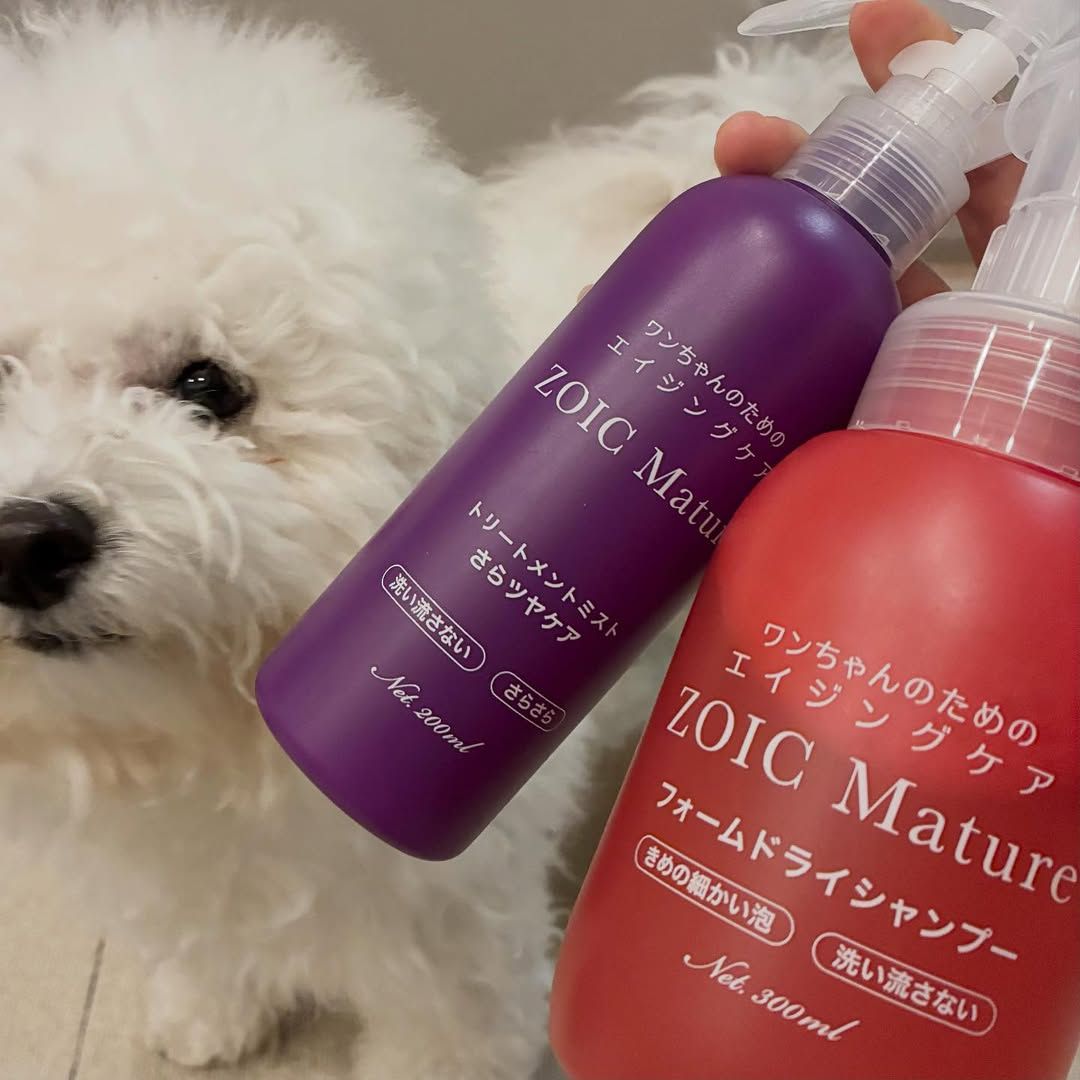 ゾイック マチュア アンバサダー ボイス