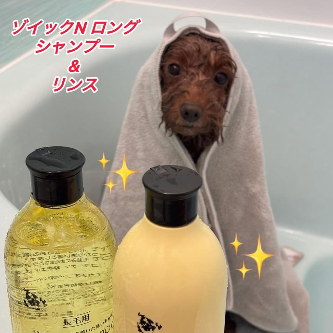 ゾイック N アンバサダー ボイス