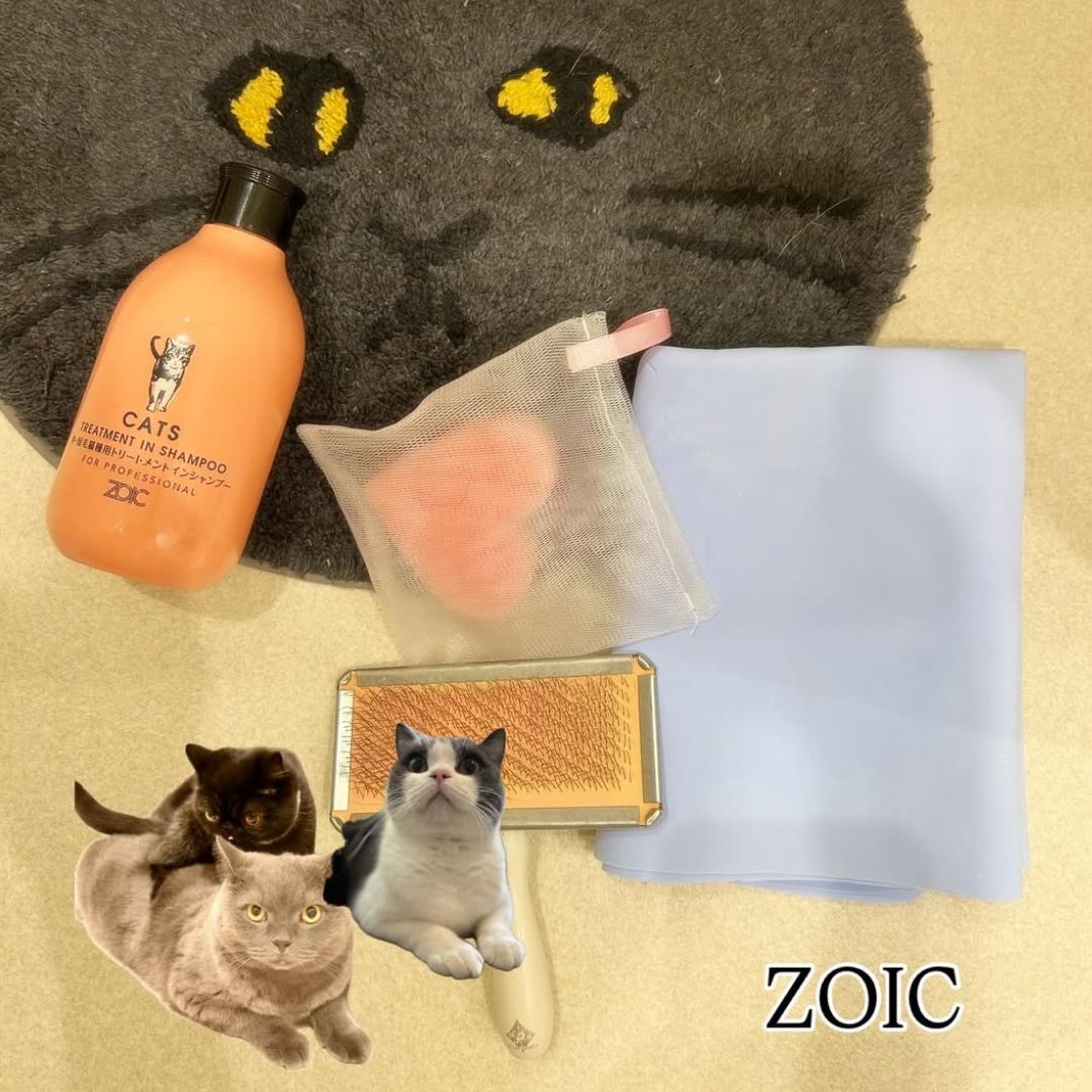 キャッツ アンバサダー ボイス