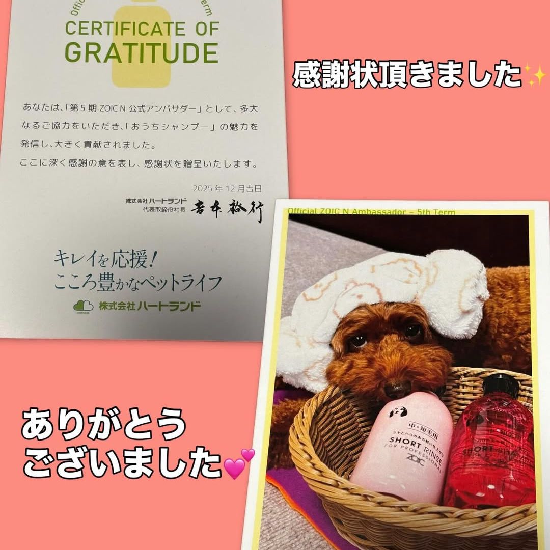 ゾイック N アンバサダー ボイス