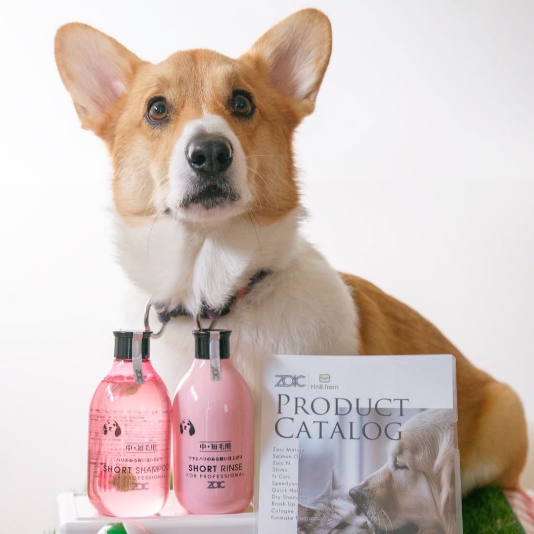 ゾイック N アンバサダー ボイス