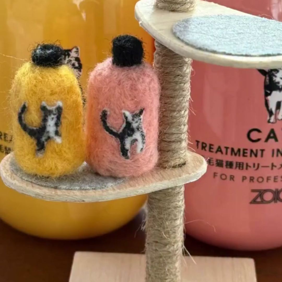 キャッツ アンバサダー ボイス