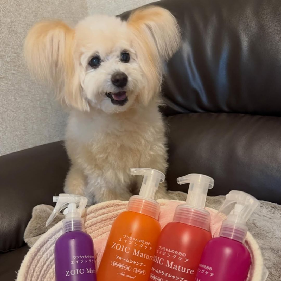 ゾイック マチュア アンバサダー ボイス