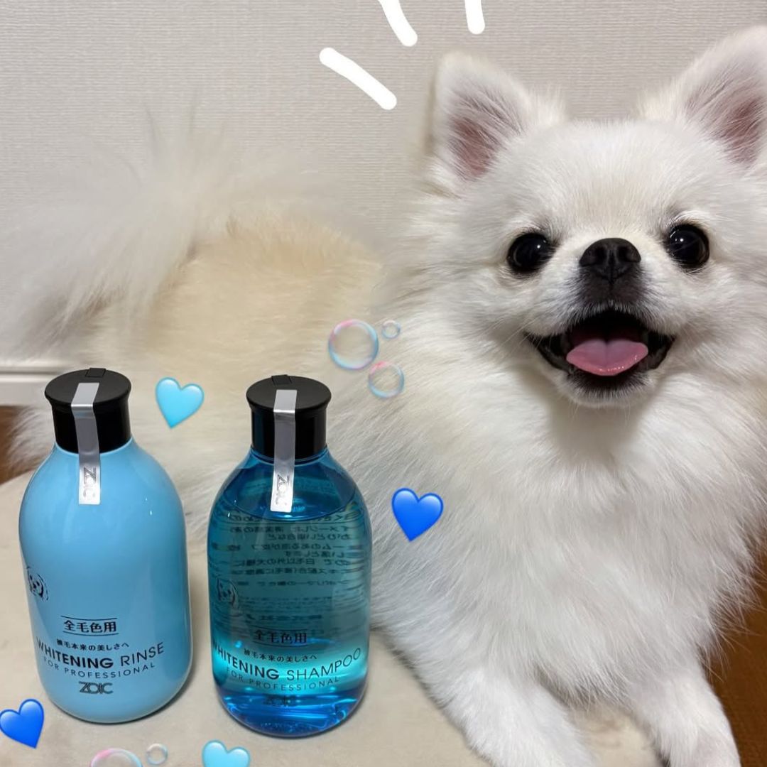 ゾイック N アンバサダー ボイス