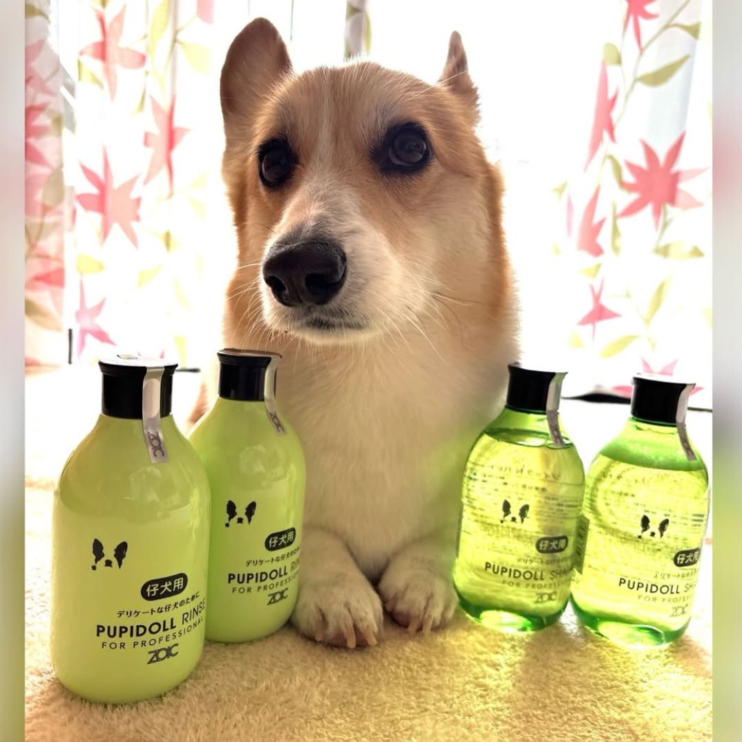 ゾイック N アンバサダー ボイス