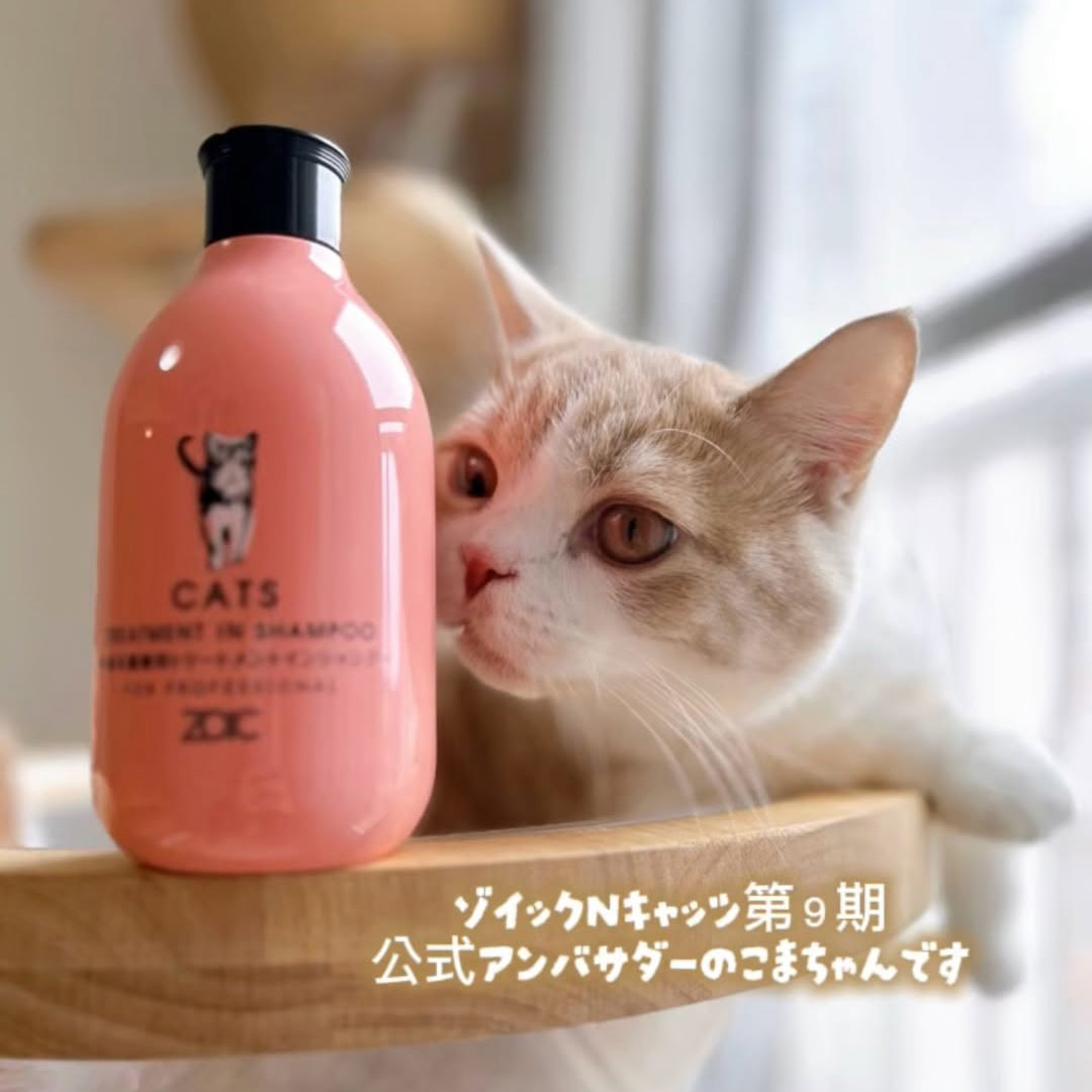 キャッツ アンバサダー ボイス