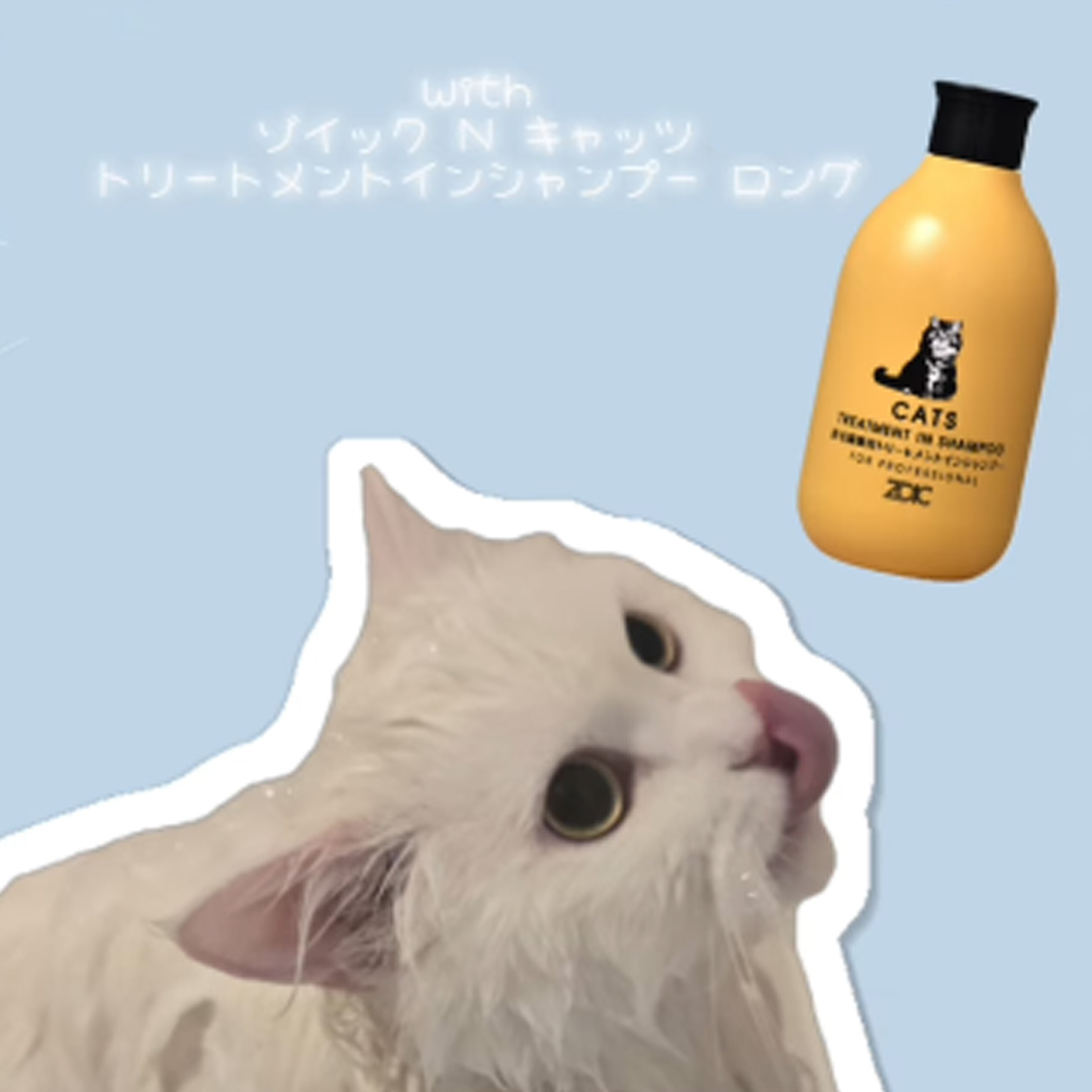 キャッツ アンバサダー ボイス