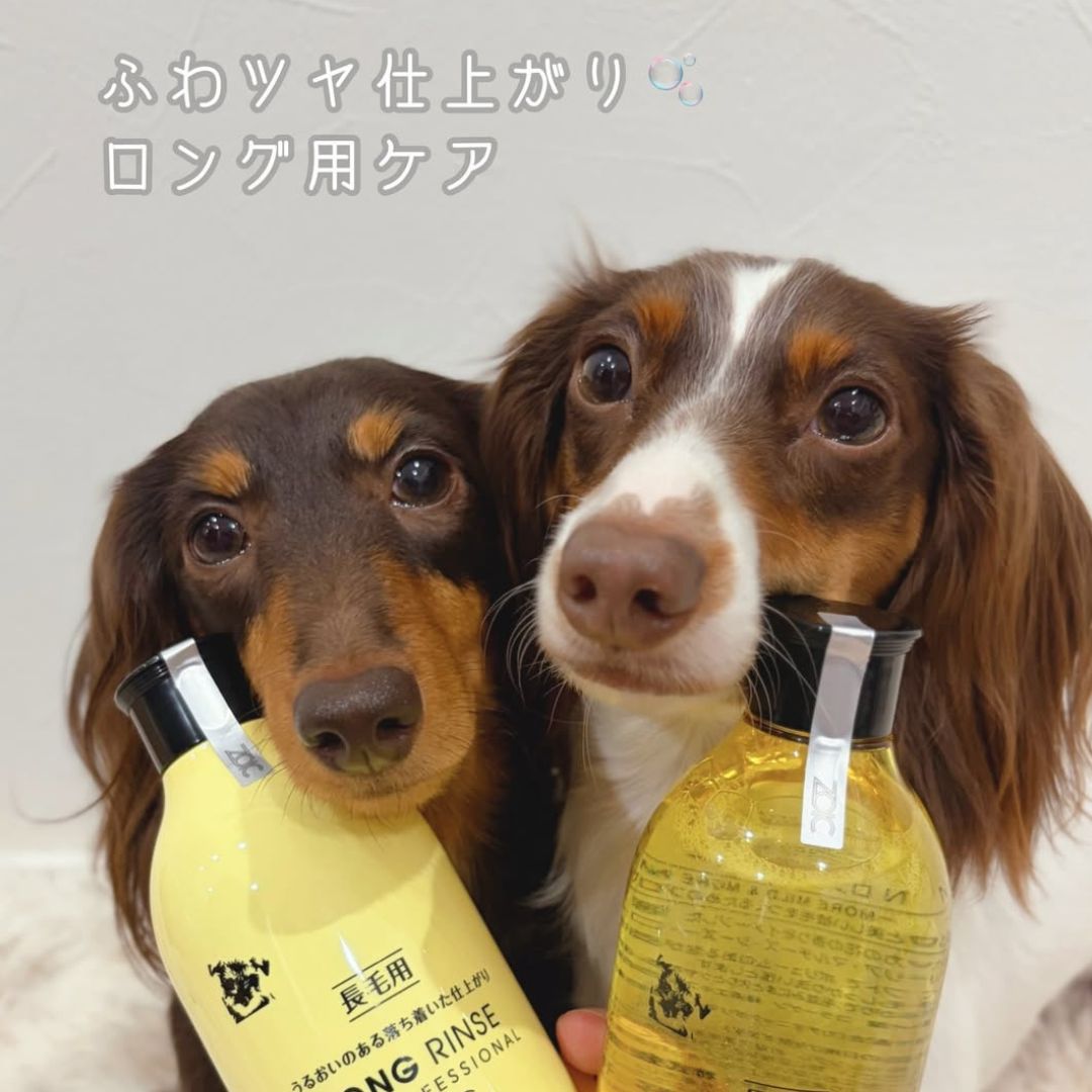 ゾイック N アンバサダー ボイス