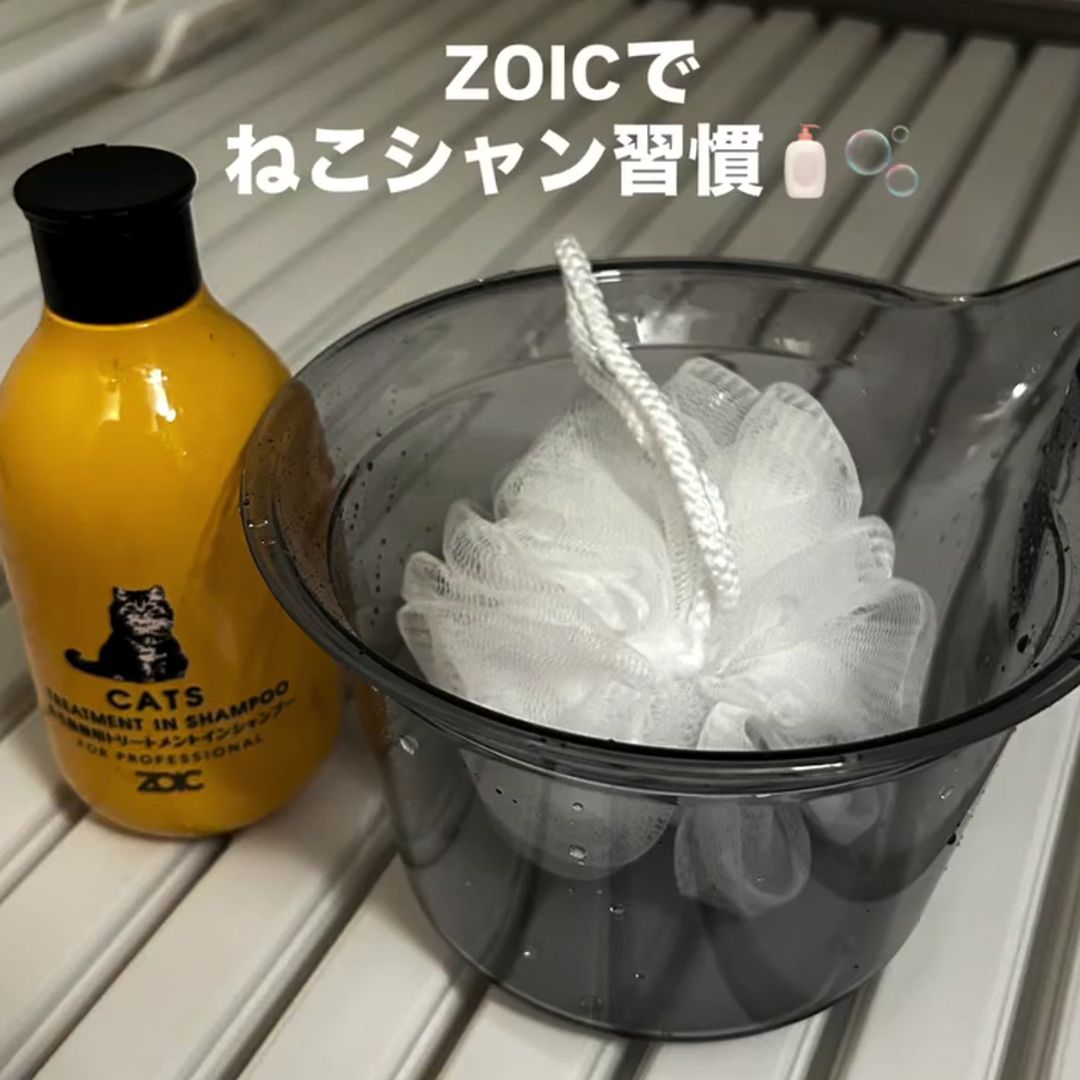 キャッツ アンバサダー ボイス