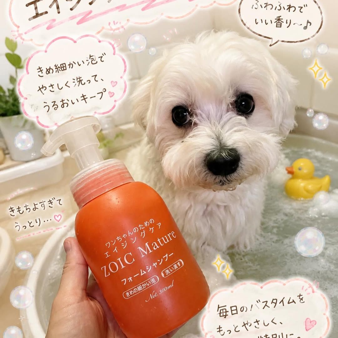 ゾイック マチュア アンバサダー ボイス