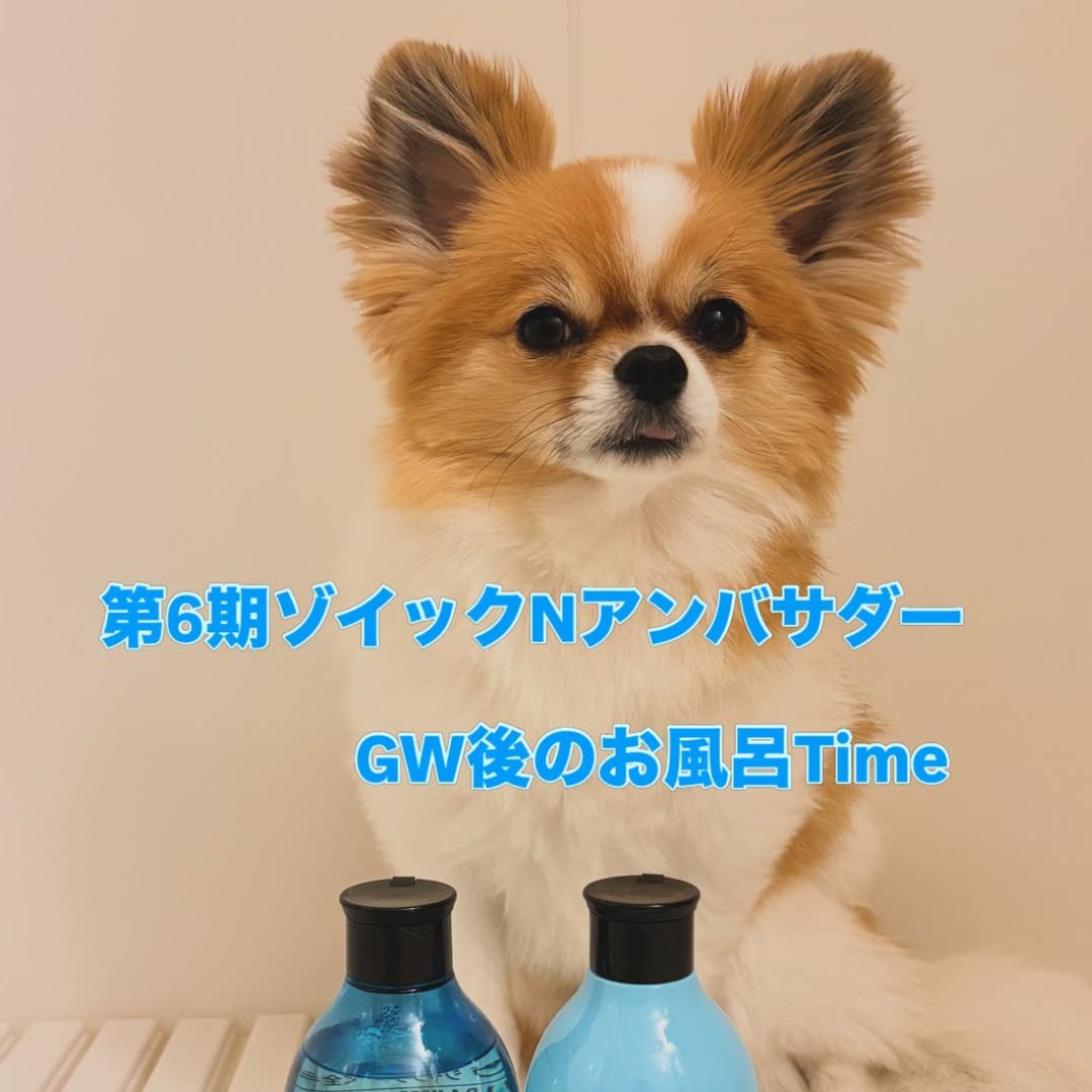 ゾイック N アンバサダー ボイス
