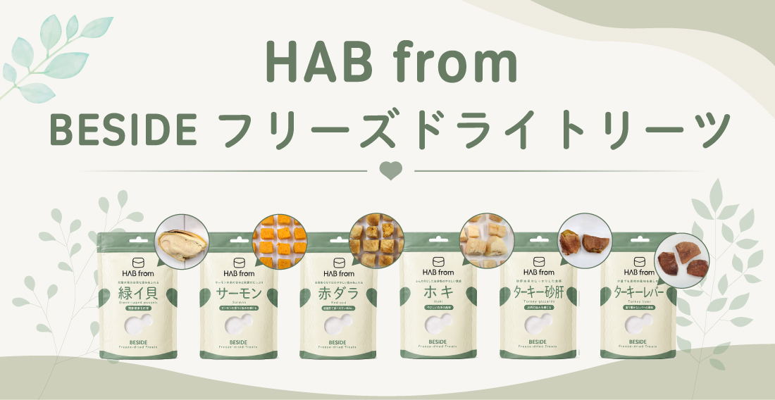 ハブ フロム ビサイド<br>フリーズ ドライトリーツ：