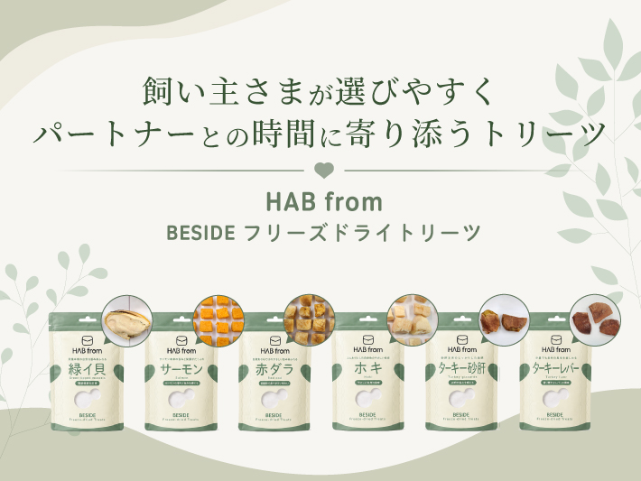 ハブ フロム ビサイド<br class=