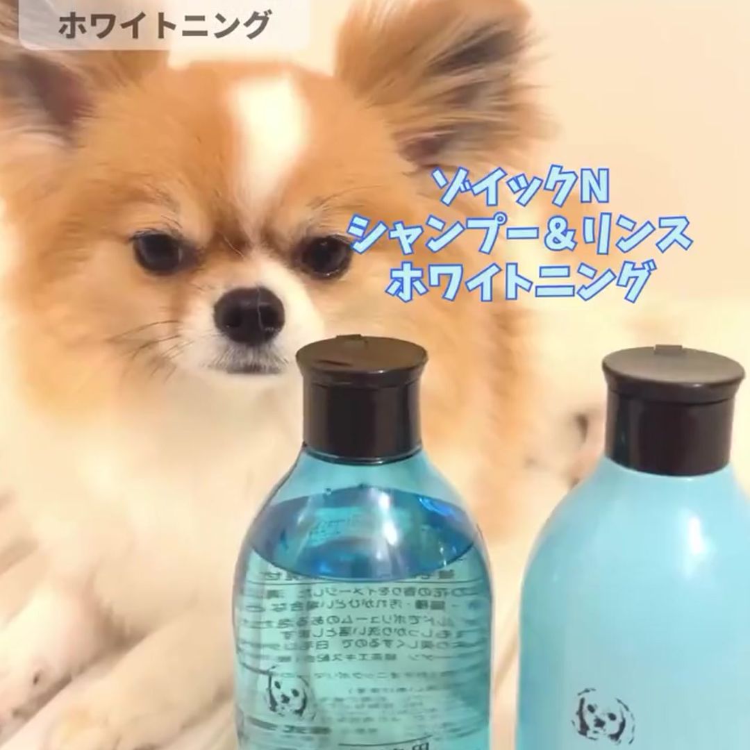ゾイック N アンバサダー ボイス