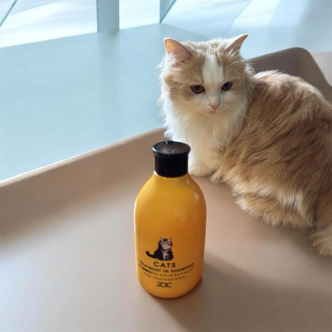 キャッツ アンバサダー ボイス