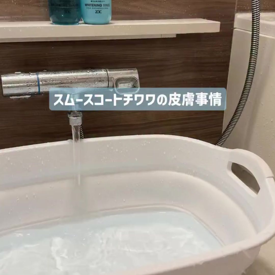 ゾイック N アンバサダー ボイス