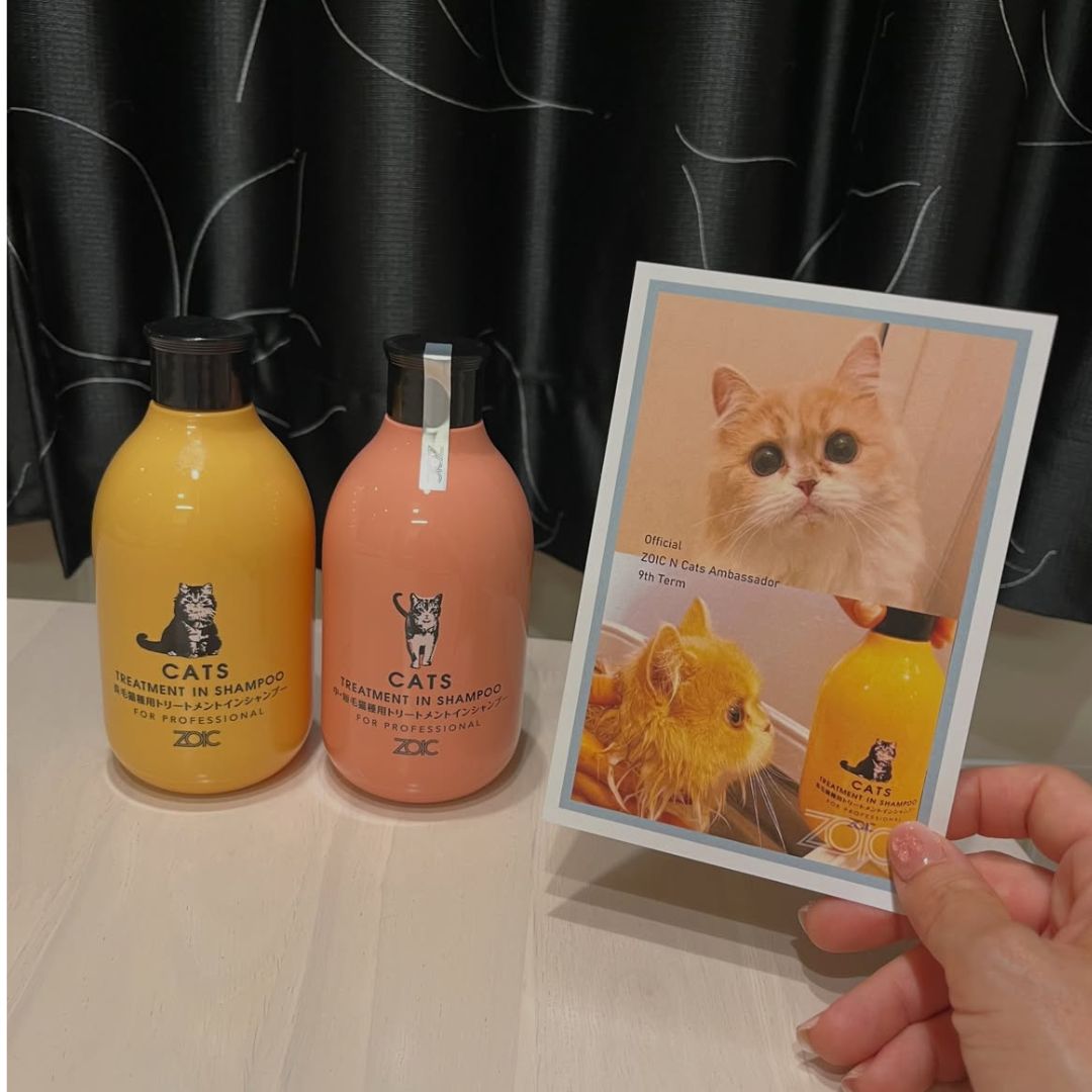 キャッツ アンバサダー ボイス