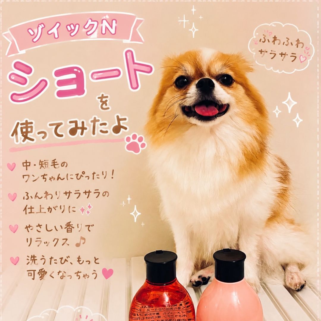 ゾイック N アンバサダー ボイス