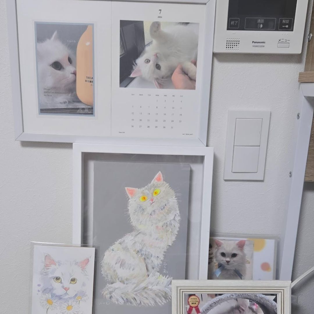 キャッツ アンバサダー ボイス
