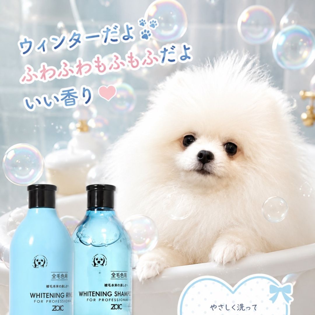 ゾイック N アンバサダー ボイス