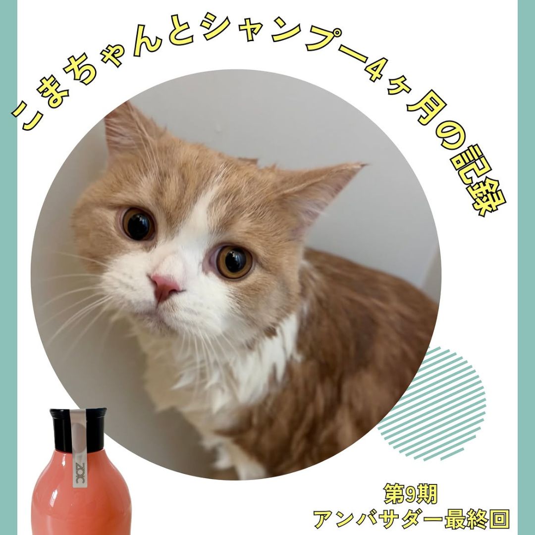キャッツ アンバサダー ボイス