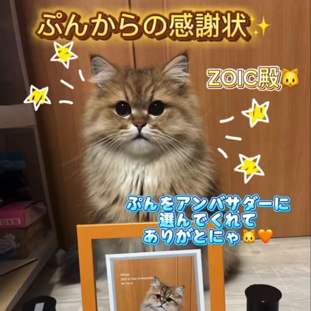 キャッツ アンバサダー ボイス