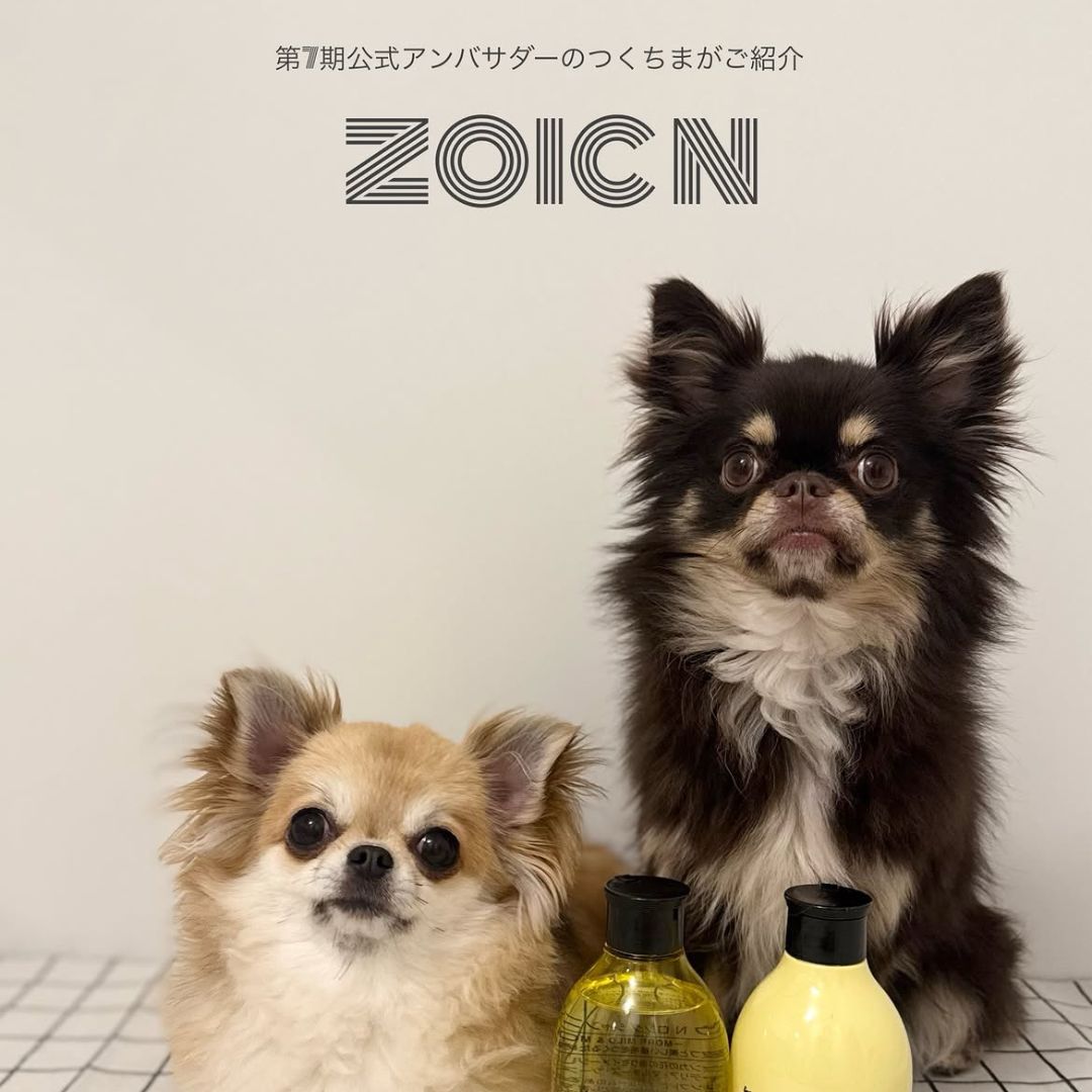ゾイック N アンバサダー ボイス