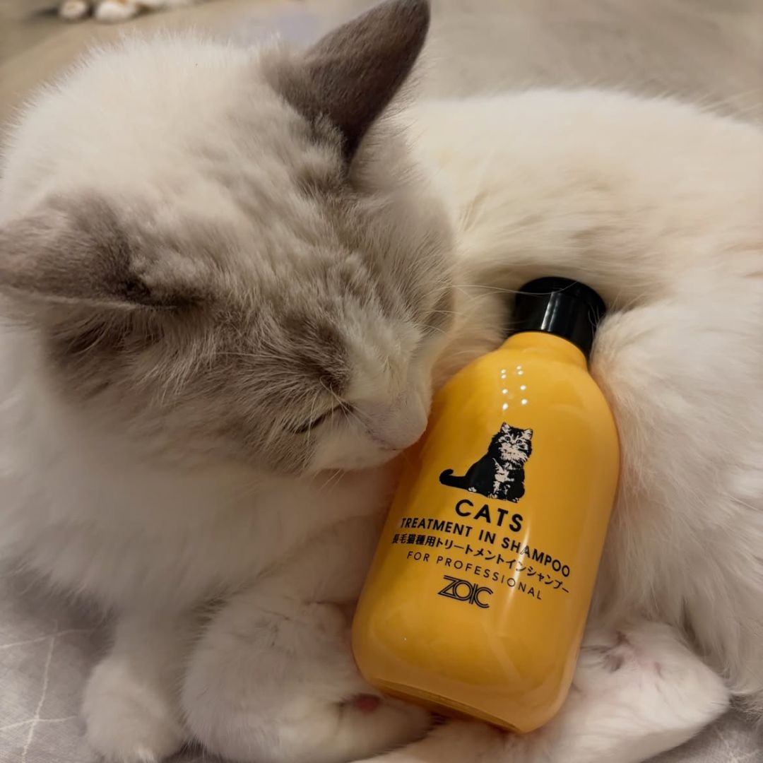 キャッツ アンバサダー ボイス