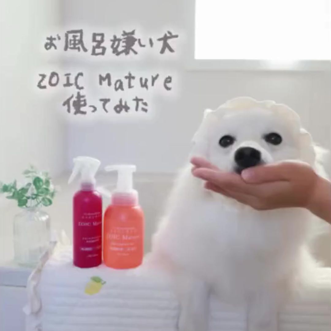 ゾイック マチュア アンバサダー ボイス
