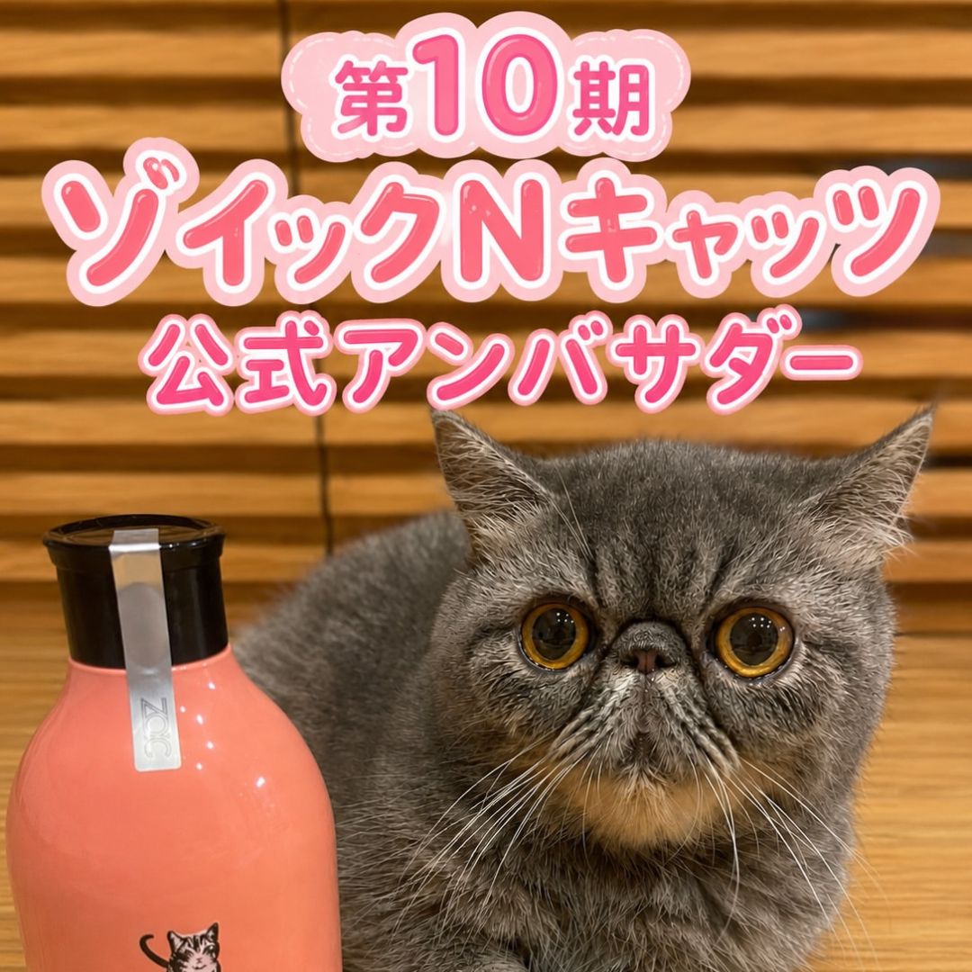 キャッツ アンバサダー ボイス
