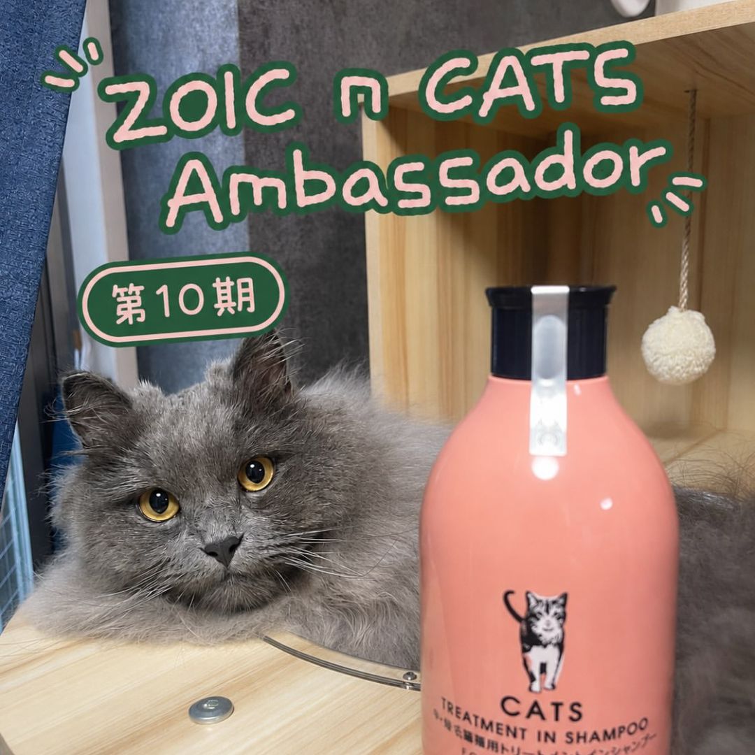 キャッツ アンバサダー ボイス