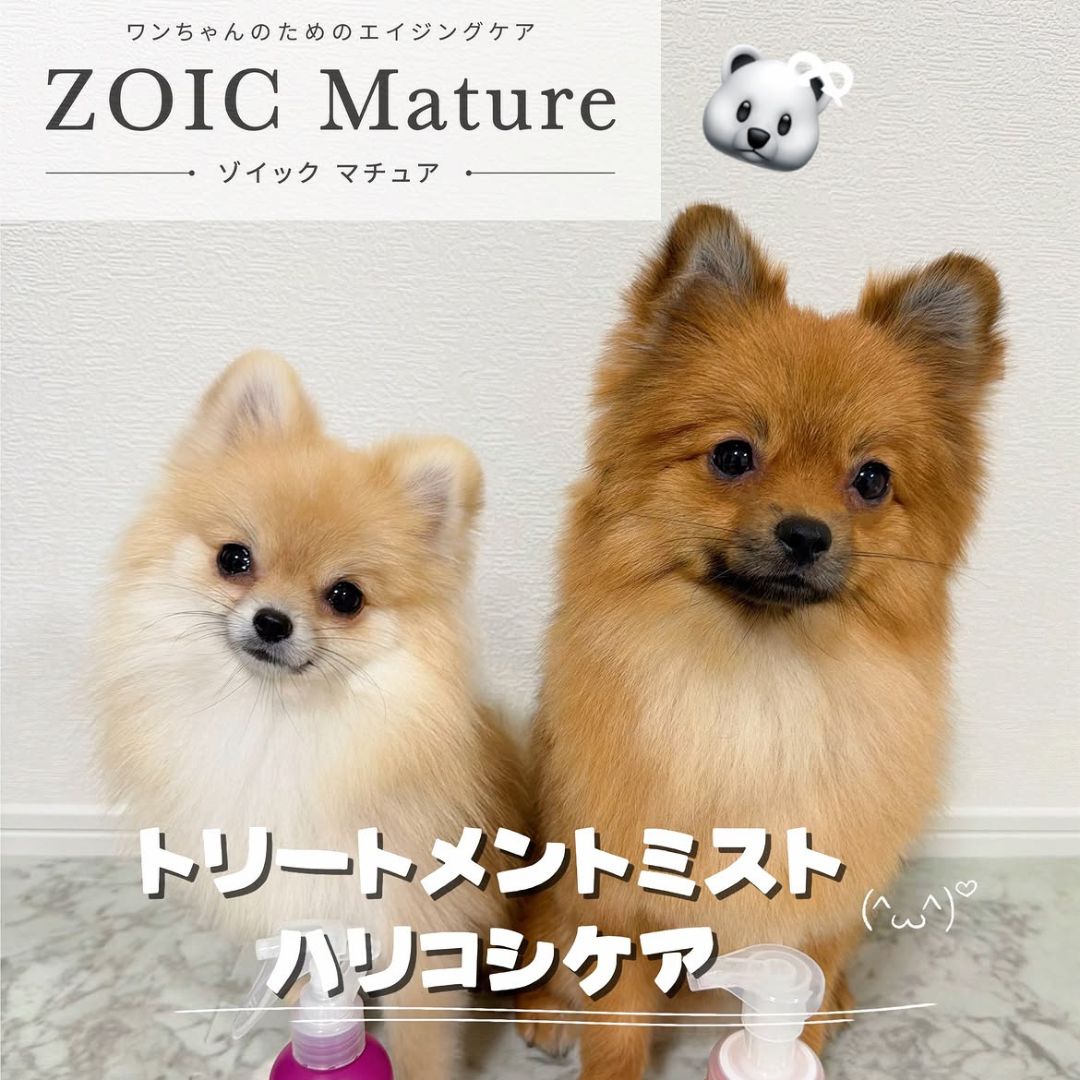 ゾイック マチュア アンバサダー ボイス